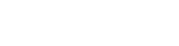 nocternalstudio.com