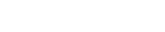 nocternalstudio.com