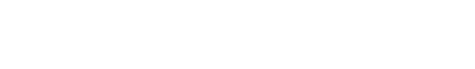 nocternalstudio.com